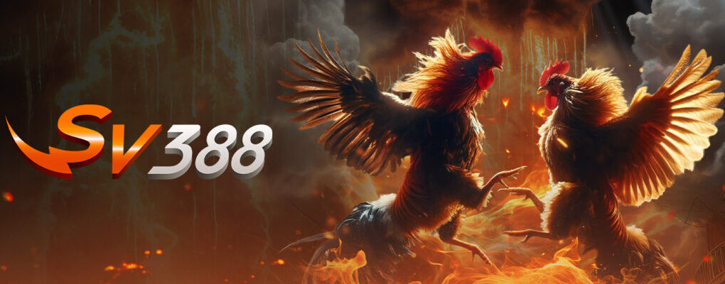 Giới Thiệu Về Ga368
