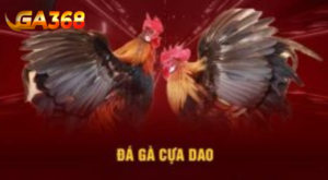da ga cua dao