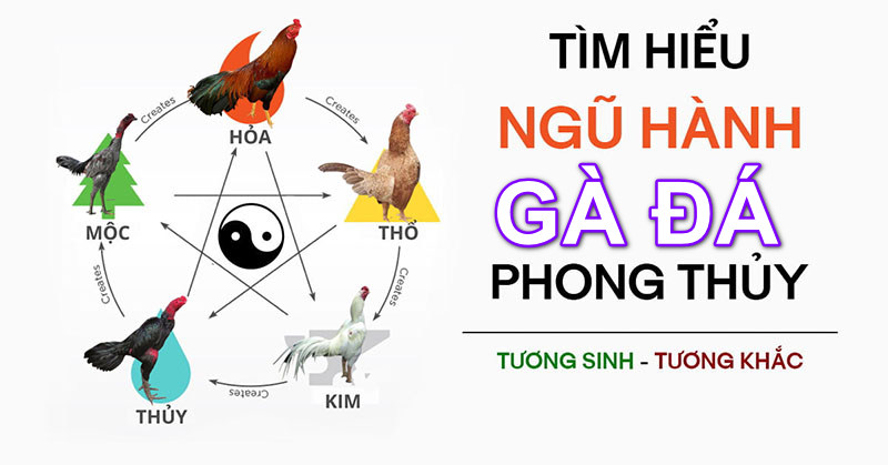 ngũ hành tương sinh tương khắc