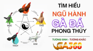 mau mang ga da la gi