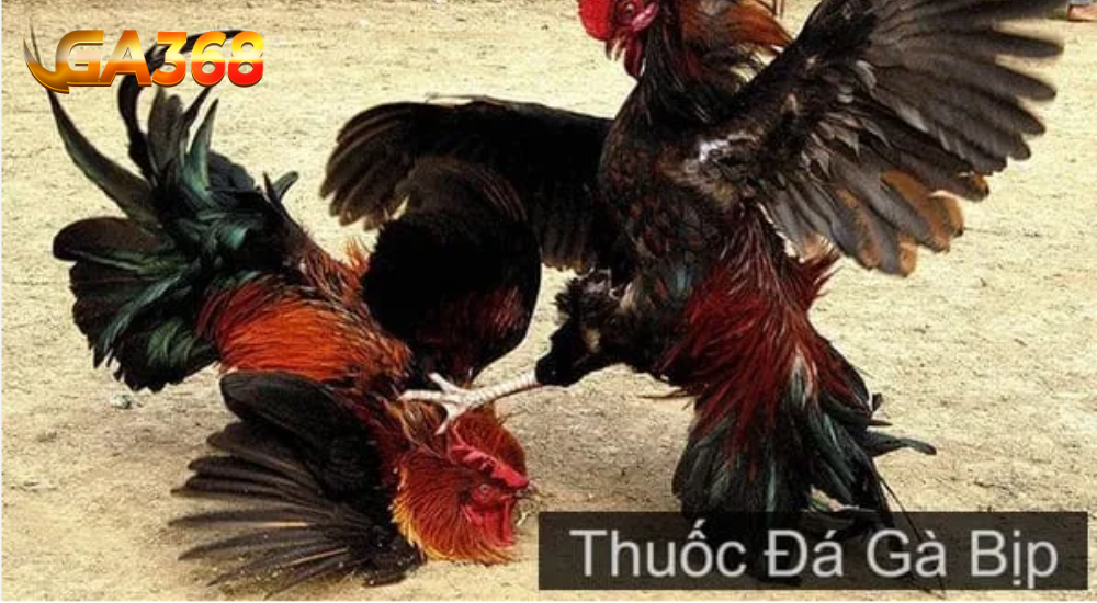 Thuốc đá gà bịp