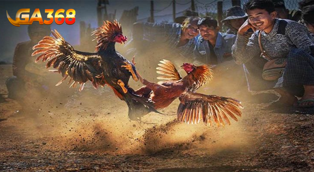 Luat choi ga don