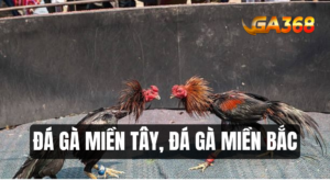 ga mien bac va ga mien nam