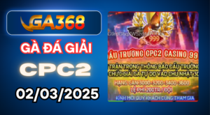 ga368 ga da giai c2 30 3