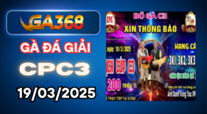 ga368 ga da giai c3 19 03